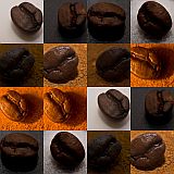 Collage of Coffee Bean Shots